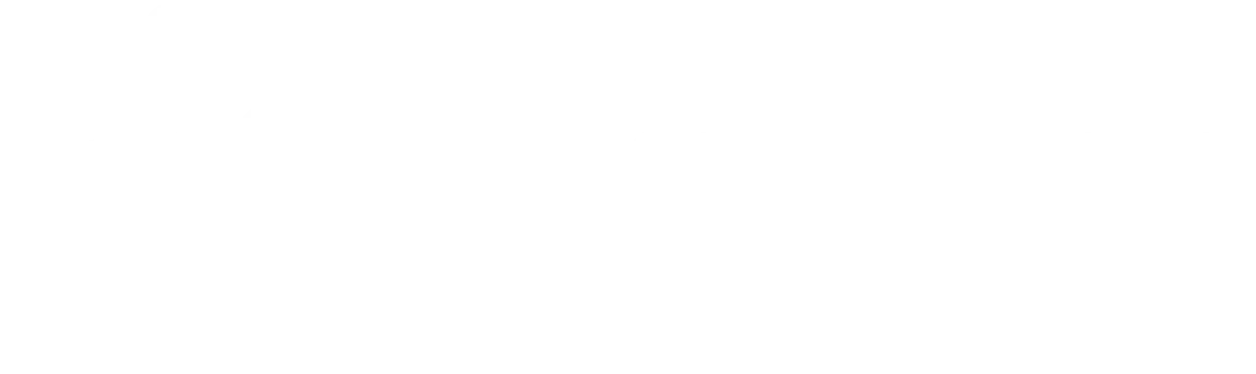 DM-LOGO_2024_White-01_862296dc-6d8f-4daf-b992-e4eb0f3d8906